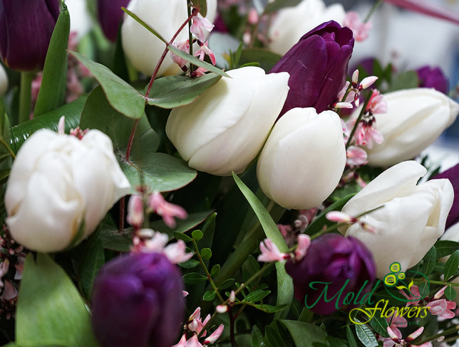 Basket with White and Purple Tulips photo